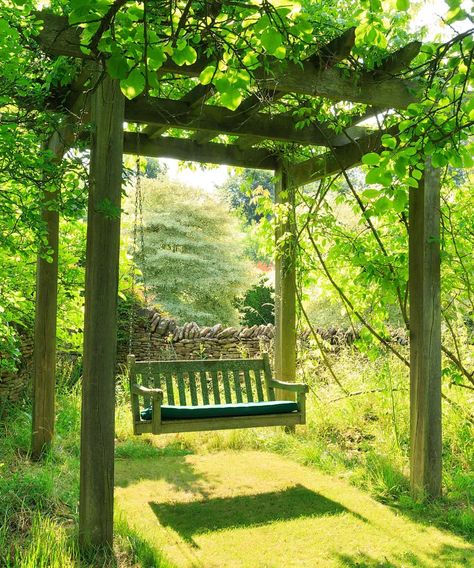 Rustic Pergola Ideas Backyards, Pergola In The Woods, Country House Garden Ideas, Garden Pagola Ideas Diy, Pergola With Tree, Grapes In Garden, Grape Vine Trellis Ideas Backyards, Backyard Grapevine Ideas, Garden Structures Ideas