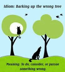 Barking Up The Wrong Tree. All About Me Eyfs Planning, All About Me Eyfs, Tree Meanings, Barking Up The Wrong Tree, Dig Deep, All About Me!, The Meaning, Meant To Be, Mario Characters