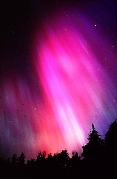 The scholar of one candle sees / An Arctic effulgence flaring on the frame / Of everything he is. Southern Lights, Northern Lights (aurora Borealis), Aurora Borealis Northern Lights, See The Northern Lights, Natural Art, The Aurora, To Infinity And Beyond, The Night Sky, Beautiful Sky