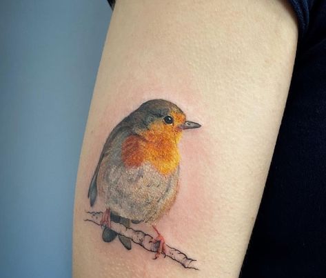 Red Robin Tattoo, White Feather Tattoos, Robin Bird Tattoos, Small Feather Tattoo, Robin Tattoo, Skin Drawing, Healing Tattoo, Brown Bird, Robin Bird