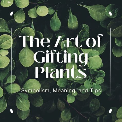 The Art of Gifting Plants: Symbolism, Meaning, and Tips Plant Meanings Chart, Plants With Meaning, Plants Symbolism, Plant As A Gift, Plants Gift Ideas, Plant Symbolism, Plant Meanings, Gifting Plants, Symbolism Meaning