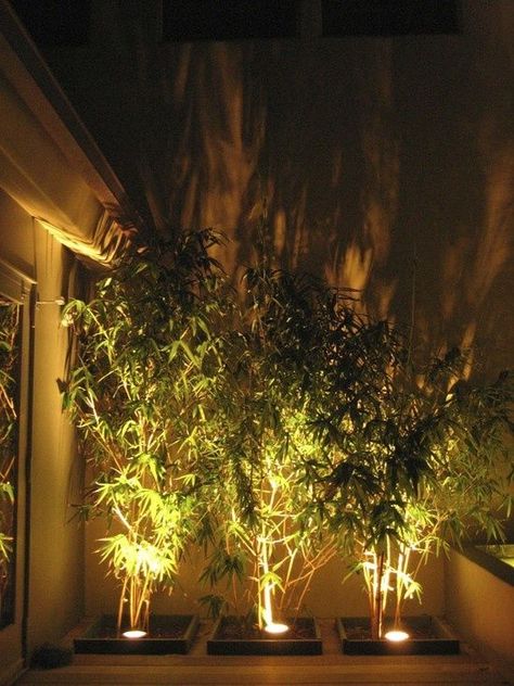 Outdoor lighting tips - create features using lighting elements - From Houzz - Click for more Rustic Garden Lighting, Landscape Lighting Design, Zen Garden Design, Backyard Lighting, Patio Lighting, Ideas Pictures, Modern Landscaping, Outdoor Landscaping, Contemporary Landscape