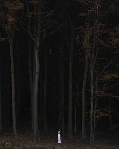 Creepy Woods, Dreamy Photography, Forest Girl, Night Forest, Forest Path, Southern Gothic, Halloween Photoshoot, Forest Photography, Girl Running