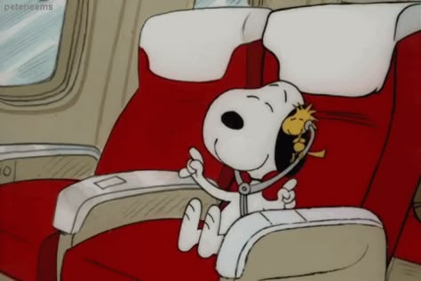 Snoopy Gifs, Gifs Snoopy, Snoopy Videos, Snoopy Gif, Birthday Ecards Funny, Peanuts By Schulz, Snoopy Cartoon, Snoopy Funny, Snoopy Images