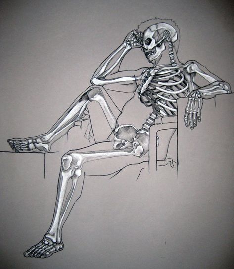 Skeleton Gesture, Skeleton Study, Human Skeleton Anatomy, Anatomy Bones, Skeleton Anatomy, Skeleton Drawings, Human Anatomy Drawing, Human Skeleton, Human Anatomy Art