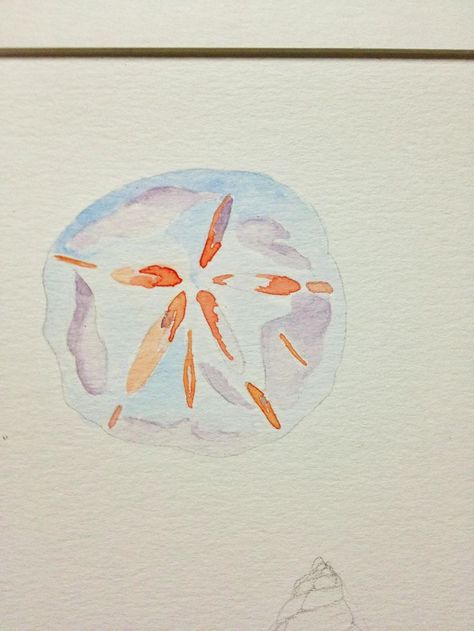 Watercolor sand dollar Sand Dollar Tattoo, Family Room Art, Sand Dollar Craft, Watercolor Stamps, Learn Watercolor Painting, Postcard Stamps, Beach Illustration, Sea Urchins, Learn Watercolor