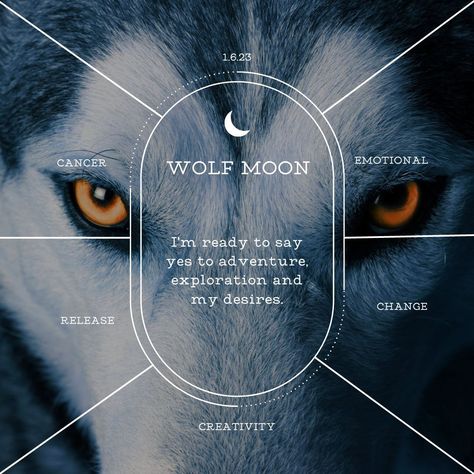 January of 2023 is best known as the Wolf Moon. Read all the details of this moon and how to best embrace it.I Snow Moon 2023, Moon 2023, Full Moon Spells, Moon Facts, Capricorn Season, Moon Spells, Moon In Leo, Angel Oracle Cards, Howling Wolf