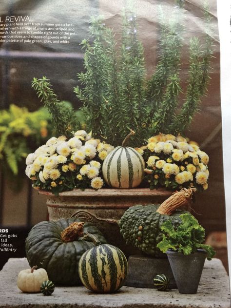 Fall Pots, Blue Harvest, Fall Container Gardens, Porch Flowers, Fall Containers, Halloween Facts, Fall Planters, About Halloween, Fall Arrangements