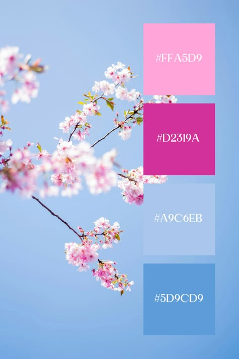 Enter the ethereal realm of the sakura tree with a mesmerizing blue-pink pastel color palette. Perfect for capturing the delicate beauty and fleeting charm of cherry blossoms in full bloom. Explore an enchanting array of soft hues, from tender petal pinks to serene sky blues reminiscent of a springtime sky. Hot Pink And Blue Color Palette, Flower Palette Color, Pink Lavender Blue Color Palette, Sakura Color Palette, Blue Pink Color Palette, Blue Green Wedding Colors, Blue And Pink Combination, Blue And Pink Color Palette, Pink And Blue Color Palette