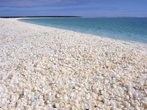 A REMOTE WA beach made up of tiny snow white shells has been named as one of the world’s best beaches by National Geographic. Beach Vacation Destinations, Koh Rong Samloem, Western Australia Travel, Places In Australia, Scenery Photos, Beach Finds, Ocean Surf, Famous Beaches, Sand Dollars