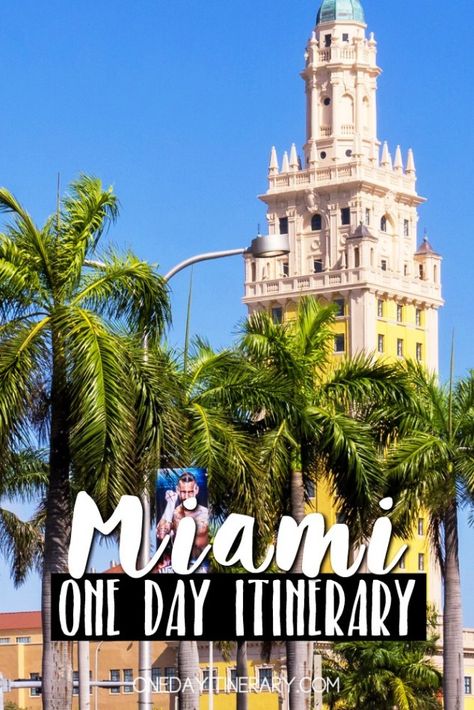 One Day In Miami, Miami Key West, Miami Travel Guide, Kids Budget, Things To Do In Miami, Miami Vacation, Miami Travel, Travel Luxury, Travel Hotel