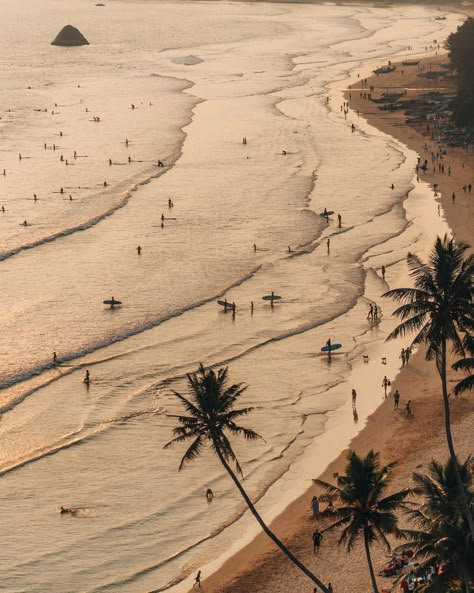 Surf Photographer Sri Lanka Weligama (@surf.stories) • Instagram photos and videos Sri Lanka Surf, Space Moodboard, Retreat Space, Old Van, Beige Palette, Beige Decor, Summer Happiness, Muted Earth Tones, Swimming In The Ocean