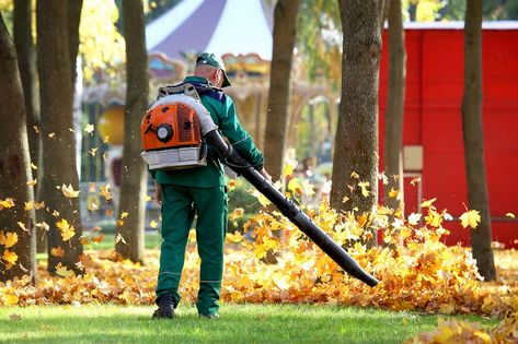 You can prune the grasses of your garden by a lawn mower, but how would you remove such grasses, leaves and weeds from your garden? In this case, you need to use a leaf blower. Installing Artificial Turf, Yard Cleanup, Spring Clean Up, Turf Installation, Synthetic Lawn, Lawn Care Business, Fall Cleaning, Building Maintenance, Handyman Services