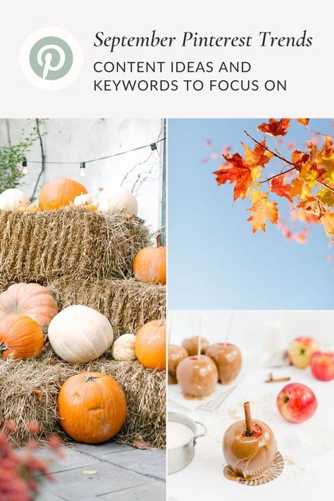 If you want to get a better idea of what to pin in September, here are some September Pinterest trends that pinners are looking for in 2021. September Pinterest Board, September On Instagram, September Bullet Journal Ideas, September Cover Page Bullet Journal, September 1st Meme, Blog Traffic, Pinterest Marketing, Pumpkin Patch, Table Decorations