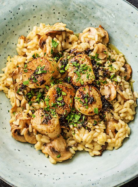 Scallops Over Truffled Mushroom Risotto with a Brown Butter Herb Sauce | More easy seafood recipes on hellofresh.com Butter Herb Sauce, Savory Cravings, Truffle Risotto, Hellofresh Recipes, Butter Herb, Seafood Recipes Scallops, Mushroom Risotto Recipes, Hello Fresh Recipes, Meal Kits