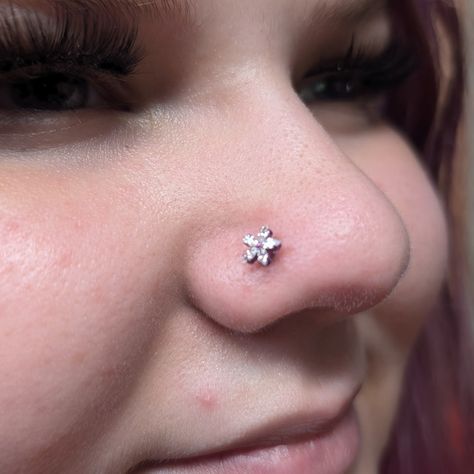 Look at this cute nose Piercing with Titanium Clear CZ Flower Anodized to Fushia!!! It is absolutely stunning AF!! Clear Nose Piercing, Piercing Flat, Nose Jewels, Clear Nose, Cute Nose, Cute Nose Piercings, Nose Piercing, That Look, Look At