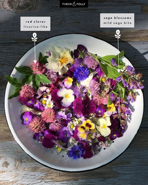 Finch + Folly — Edible Flowers: What they Taste Like & How to Use Edible Flowers Salad, Edible Flower Salad, Dried Edible Flowers, Eatable Flowers, Flowers Recipes, Flower Recipe, Flower Recipes, Chive Blossom, Potion Making