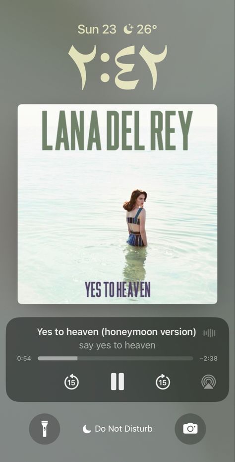 Lana Del Ray Yes To Heaven, Yes To Heaven Spotify, Yes To Heaven Aesthetic, Say Yes To Heaven Lana Del Rey, Lana Del Rey Playlist, Me And Music, Heaven Song, Say Yes To Heaven, Queen Of Disaster