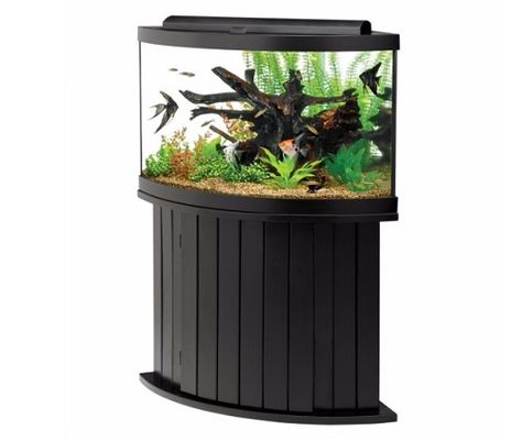 Aqueon 54 gallon corner aquarium with stand Corner Fish Tank, Corner Aquarium, Aquarium Set, Tank Stand, Aquarium Setup, Pet Spray, Aquarium Ornaments, 55 Gallon, Fish Supplies