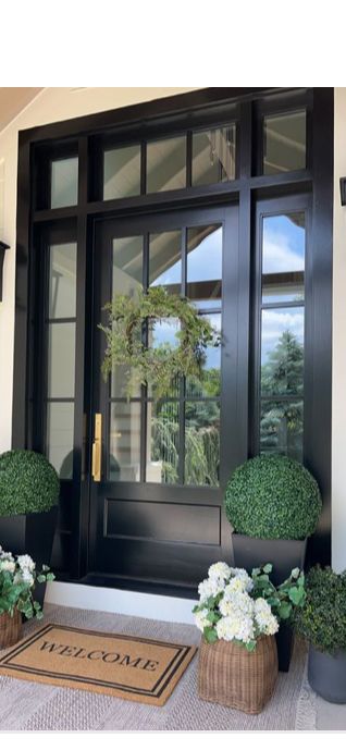 Big Door Design Entrance, Brown Entrance Door, Black Foyer Door, Plant Entryway Ideas, Front Door Decor Inside Entrance, Transitional Front Door, Farmhouse Front Doors, Front Door Black, Front Porch Plants