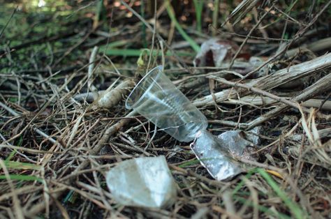 Trash In Forest, Polluted Forest, Forest Pollution, Pollution Photography, Pollution Project, Environmental Photography, Elementary Reading Comprehension, Nature Environment, Environmental Pollution