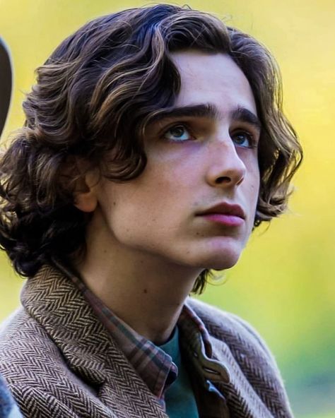 timothée ♡ on Instagram: “yall im actually running out of caption ideas so im js gon start using my captions as therapy 🥰” Regulus Acturus Black, Walpapers Cute, Francois Truffaut, Paul Atreides, Robert Sheehan, Aaron Taylor Johnson, Timmy T, Regulus Black, The Perfect Guy