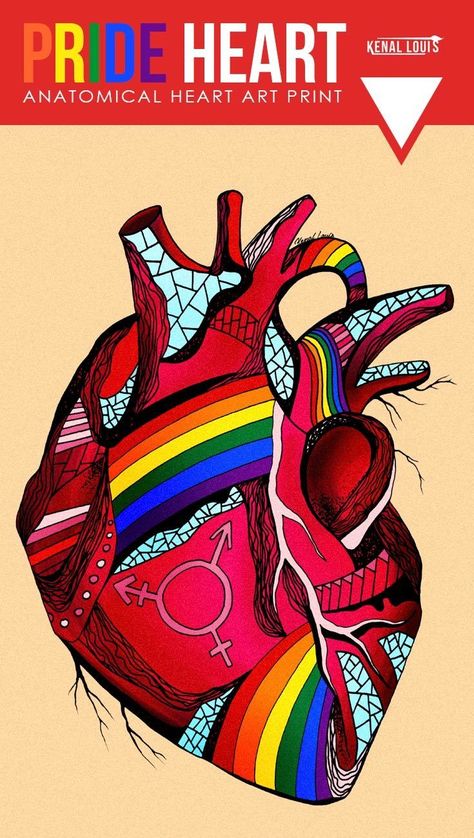 Human Heart Art, Anatomical Heart Art, Heart Artwork, Heart Art Print, Gay Pride Shirts, Art Print Collection, Heart Drawing, Ink Artwork, Anatomical Heart