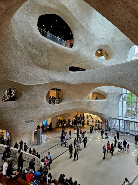 New Wing in the American Natural History Museum. New York City. Historical Thinking, Museum Plan, Museums In Nyc, Human Remains, American Museum Of Natural History, York Aesthetic, Visiting Nyc, New York Museums, Nyc Aesthetic