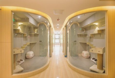 VAC Cat Hotel & Spa – China Hotel Pet, Katt Grejer, Cat Kennel, Cat Hotel, Dog Hotel, Pet Resort, Pet Hotel, Pet Boarding, Most Luxurious Hotels