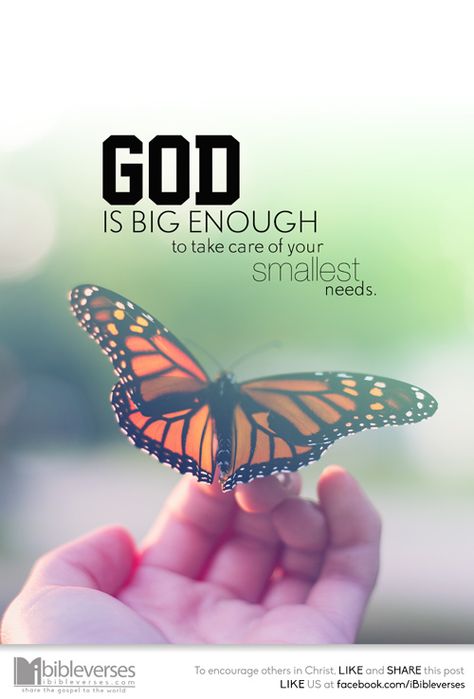 Butterfly Quotes, God Is Amazing, Ayat Alkitab, Prayer Verses, Faith Prayer, Biblical Quotes, Faith Inspiration, Christian Quotes Inspirational, Christian Books