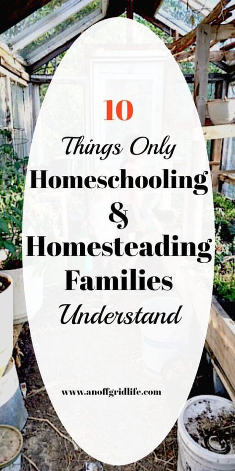 Colorado Homestead, Waldorf Montessori, Family Homestead, Natural Things, Farm Kids, Homeschool Education, Homesteading Skills, Survival Life Hacks, Family Learning