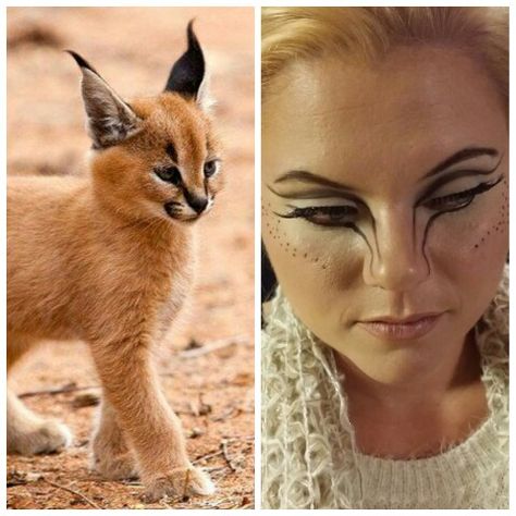 Cute Animal Halloween Makeup, Lion Inspired Makeup, Feline Makeup Look, Realistic Cat Makeup, Animal Makeup Ideas, Animal Eye Makeup, Bug Makeup Looks, Cute Animal Makeup, Animal Print Makeup Looks