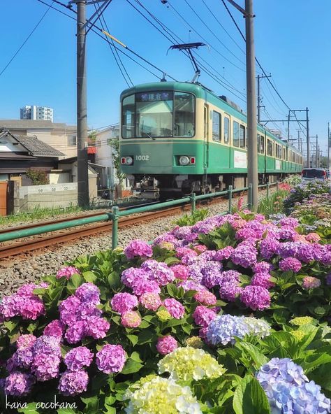 Aesthetic Country, Kanagawa Japan, Kanagawa Prefecture, Sea View, Places Around The World, Jamaica, Around The Worlds, High School, Japan