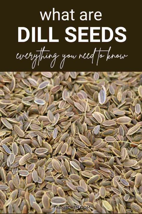 An image showcasing dill seeds with informative text overlay. Learn about the nutrition, benefits, and usage of dill seeds, along with tips on buying and storing. Perfect for those interested in enhancing their cooking skills and exploring healthy ingredients. #DillSeeds #HealthyEating #CookingTips Dill Seeds Uses, Dill Plant, Dill Seeds, Dilly Beans, Dill Recipes, Seeds Benefits, Edible Seeds, Healthy Seeds, Drying Dill