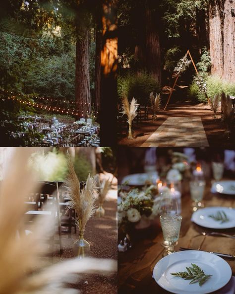 Current things that spark joy: great couples and venues I’ve never shot at before This was my first time shooting a wedding at Waterfall Lodge in Santa Cruz. A collection of A-frames so I felt right at home. Congratulations to @valwkam and Adam, I was in awe of the whole day and watching you two love being in each others arms. Venue: @waterfallsantacruz Planning: @eventbydawn Floral: @the.blonde.rose DJ: @santacruzdjcompany MUAH: @shannonle Catering: @fivestarcatering831 Desserts: @t... Waterfall Lodge Santa Cruz Wedding, Santa Cruz Wedding, A Frames, Second Love, Spark Joy, Social Media Post, First Time, The Whole, A Wedding