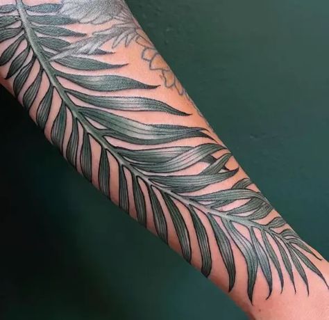 Palm Leaf Tattoo Arm, Palm Tree Leaves Tattoo, Palm Tree Tattoos For Women On Arm, Palm Frond Tattoos, Palm Tree Leaf Tattoo, Palm Branch Tattoo, Tropical Leaf Tattoo, Palm Leaves Tattoo, Tropical Leaves Tattoo