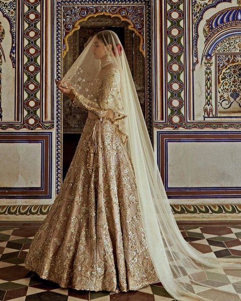 Presenting the Champagne Gold Embroidered Lehenga Set is a masterpiece of luxurious design. Ideal for a bride or bride-to-be, this lehenga offers the perfect blend of tradition and regality. Find it on Fabilicious 🌟 WhatsApp us on +91 99992 89222 for any queries 🌟Made to Measure 🌟Personal service with VC for measurements 🌟 Trusted Brand #indianwedding #indiandesigner #weddingcollection #new #newcollection #indianwedding #sangeet #saree #print #printed #sangeetlehenga #ethnicwear #han... Gold Lehenga Bridal, Indian Wedding Reception Outfits, Head Veil, Net Lehenga Choli, Wedding Reception Outfit, Reception Outfits, Gold Lehenga, Latest Bridal Lehenga, Bridal Lehenga Red