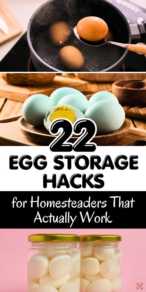 Looking to preserve eggs longer? These 22 egg storage hacks are perfect for homesteaders! From water glassing and freezing to lime coating, these methods keep eggs fresh for months. Stop wasting eggs and start preserving them with easy, practical solutions that work. Save this pin for lasting egg freshness! How To Save Eggs, Dehydrating Eggs, Preserve Eggs, Preserving Eggs, Eggs Image, Freezing Eggs, Powdered Eggs, Pickled Eggs, Egg Storage