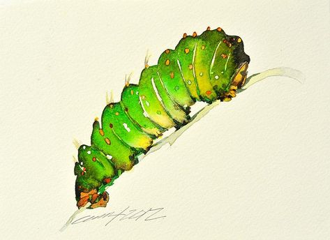 Watercolor Caterpillar, Caterpillar Insect, Water Artwork, Pencil Inspiration, April Art, Watercolor And Acrylic, Arts Magazine, Art Tutorials Watercolor, Watercolor Projects