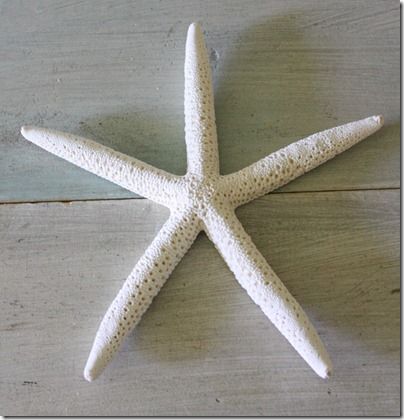 A super fast & easy craft way to make hanging starfish for the wall in under five minutes! Hanging Shells, Beach Art Diy, Starfish Decor, Art Coquillage, Beachy Decor, Beach Diy, How To Hang, Eric Carle, Beach Bathrooms