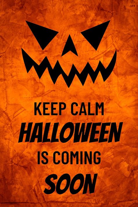 KEEP CALM... and watch out! 👻👻👻👻👻👻👻👻👻👻👻👻👻👻 #halloween #halloweenquotes Halloween Is Coming, Vegan Quotes, Calm Quotes, Halloween Poster, Halloween Inspiration, Halloween Wallpaper, Art Journals, Tis The Season, Superhero Logos