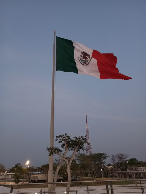 #mexico #flag Mexico Aesthetic Flag, Mexico Aesthetic Pictures, Mexico Flag Aesthetic, Mexican Flag Aesthetic, Columbian Flag, Hernandez Aesthetic, Six Underground, Mexicana Aesthetic, Hispanic Flags