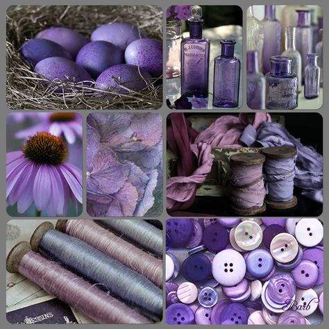 COLOR ME PURPLE - collage by Barb Mood Borde Fashion, Purple Collage, Journal Pics, Trim Board, Moodboard Inspiration, Color Schemes Colour Palettes, Mood Board Inspiration, Fashion Portfolio, Deco Floral