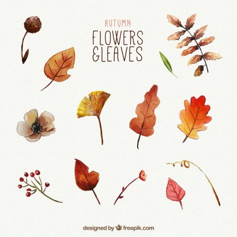 Certificate Ideas, Aquarelle Painting, Brush Paint, Watercolor Designs, Patterns Design, Fall Watercolor, Watercolor Leaves, Autumn Cozy, Free Vectors