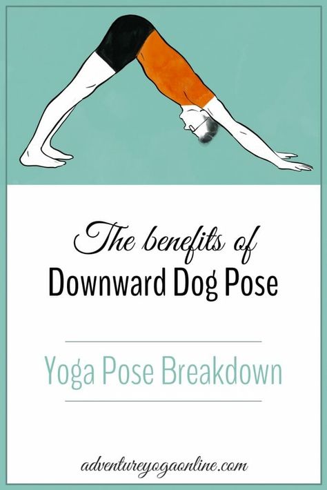 Downward Facing Dog Benefits, Benefits Of Downward Dog, Downward Dog Benefits, Down Dog Yoga Pose, Downward Dog Yoga, Adho Mukha Svanasana, Downward Dog Pose, Yoga Teaching, Yoga Online