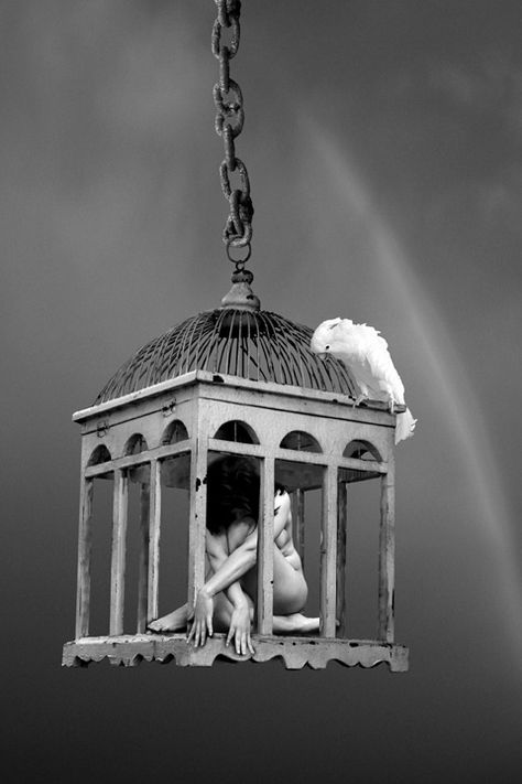 The Caged Bird Sings, Lady Godiva, Robert Doisneau, Bird Cages, Dark Photography, Black N White, White Photo, Pics Art, Shades Of Grey