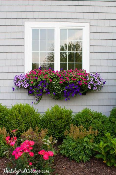 Add a Window Box - Think of a window box as a "permanent" floral arrangement. It creates a stunning focal point that adds ambiance to your patio entertaining space. Small Window Box Flowers, House With Flower Boxes, Lilypad Cottage, Fall Window Boxes, Window Box Plants, Window Box Garden, Summer Window, Box Garden, Box Flowers