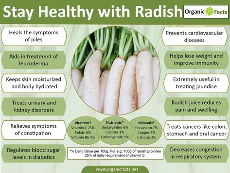 Radish, the well known part of your salad, is a root crop, pungent or sweet in taste with a lot of juice. Radishes can be white, red, purple or black, long cylindrical or round in shape. They are eaten raw, cooked or pickled. The oil obtained from the seeds of radish is also used. The other parts of radish which are consumed are the leaves, the flowers, the pods and the seeds. The scientific name of radish is Raphanus Sativus which belongs to the Brassicaceae family. Radish is also known as ... Radish Benefits, Benefits Of Radishes, Radishes Benefits, Health Benefits Of Radishes, Vegetable Benefits, Radish Salad, Grape Salad, Juicing Benefits, Probiotic Foods