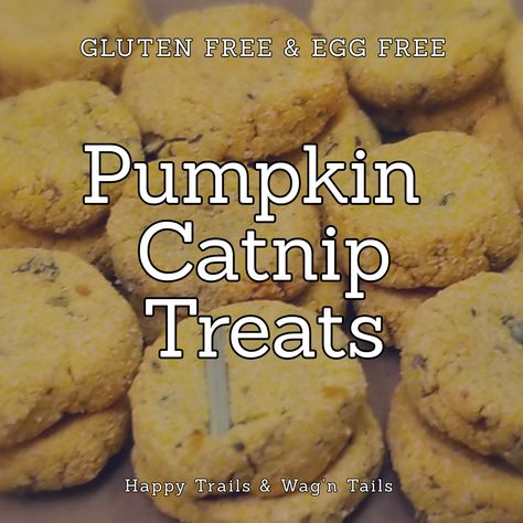 Homemade Cat Treats Recipes, Diy Cat Treats, Vegan Dog Treats, Gluten Free Dog Treats, Kitty Treats, Catnip Treats, Pet Recipes, Homemade Pet Treats, Animal Treats