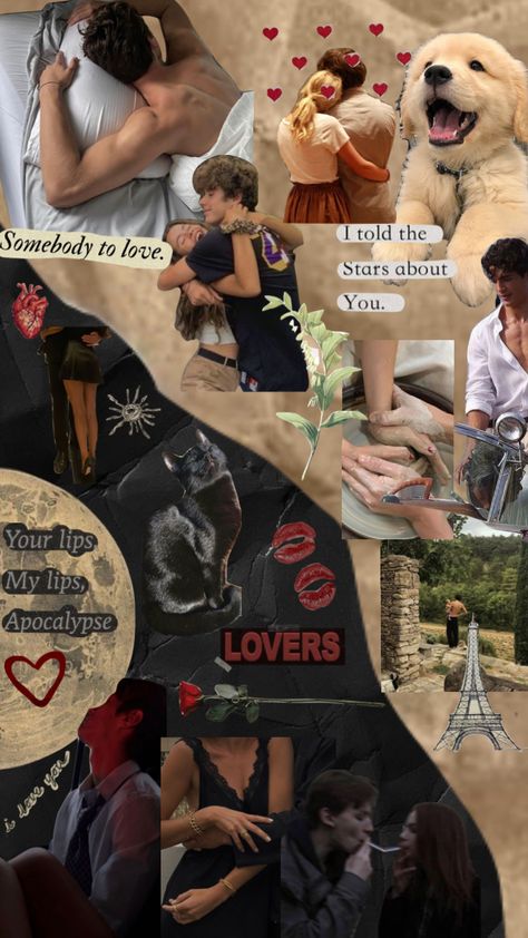 Black Cat Bf Aesthetic, Black Cat Couple Aesthetic, Golden Retriever Energy Boyfriend Aesthetic, Golden Retriever Gf Black Cat Bf Aesthetic, Bf Collage Wallpaper, Black Cat Golden Retriever Couple Aesthetic, Golden Retriever Boyfriend X Black Cat Girlfriend, Golden Retriever With Black Cat, Golden Retriever Boyfriend Outfits